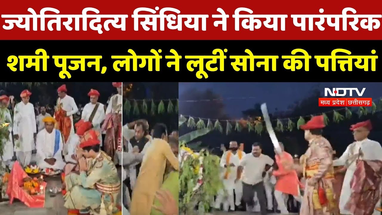 Dussehra 2025: Jyotiraditya Scindia ने किया पारंपरिक शमी पूजन, लोगों ने लूटीं सोना की पत्तियां Dussehra 2025: Jyotiraditya Scindia ने किया पारंपरिक शमी पूजन, लोगों ने लूटीं सोना की पत्तियां