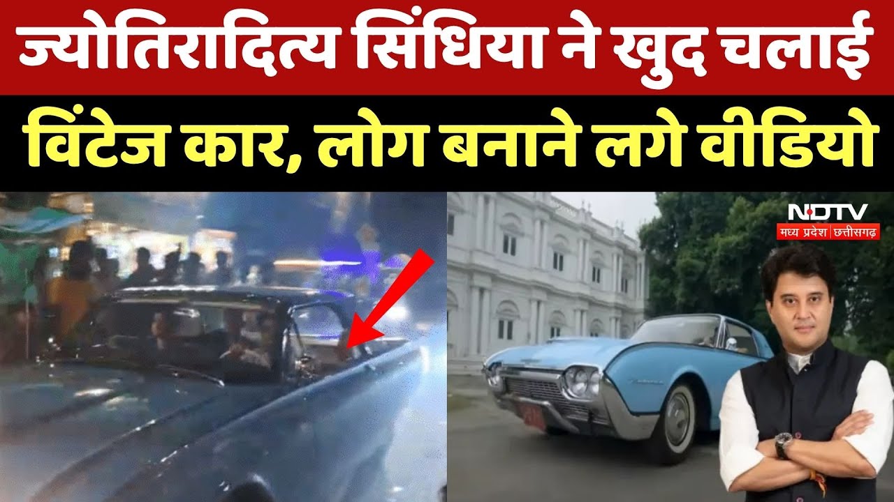 Jyotiraditya Scindia का शाही अंदाज, खुद चलाई Thunderbird Royal Vintage Car, लोग बनाते दिखे Video Jyotiraditya Scindia का शाही अंदाज, खुद चलाई Thunderbird Royal Vintage Car, लोग बनाते दिखे Video