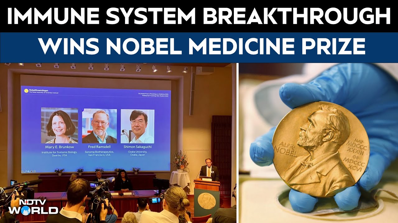 Nobel Prize In Medicine 2025 | Nobel Prize 2025: Three Scientists Share Physiology Or Medicine Award