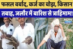 Heavy Rain In Rajasthan: फसल बर्बाद, कर्ज का बोझ, किसान तबाह, Jalore में बारिश से त्राहिमाम! Heavy Rain In Rajasthan: फसल बर्बाद, कर्ज का बोझ, किसान तबाह, Jalore में बारिश से त्राहिमाम!