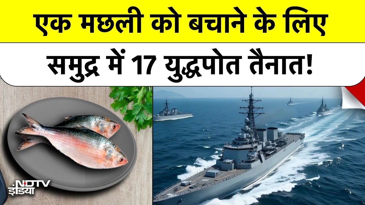 Video: इस एक Fish के लिए Bangladesh ने लगा दिए 17 युद्धपोत, वजह क्या? | Hilsa Fish | Ilish Fish