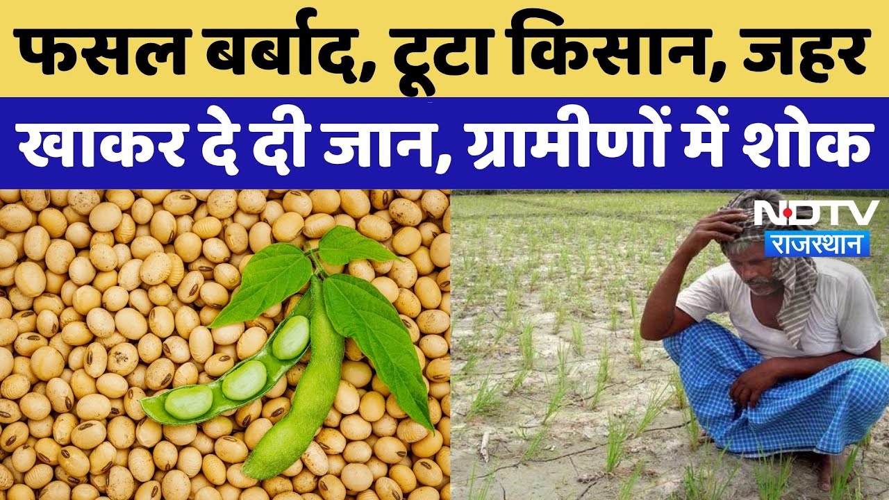 Farmer Suicide in Kota: कर्ज का बोझ, फसल बर्बाद, किसान ने खाया जहर! | Rajasthan News | Crops Damage