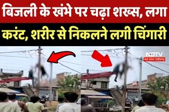 Japalpur News: बिजली के खंभे पर चढ़ा शख्स, लगा करंट, शरीर से निकलने लगी चिंगारी Japalpur News: बिजली के खंभे पर चढ़ा शख्स, लगा करंट, शरीर से निकलने लगी चिंगारी