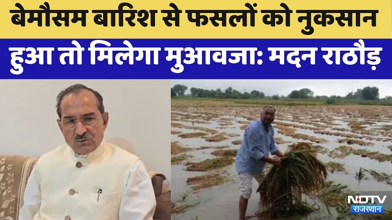 Rajasthan में Unseasonal Rain से नुकसान हुआ तो मिलेगा Compensation! | Madan Rathore | Farmers