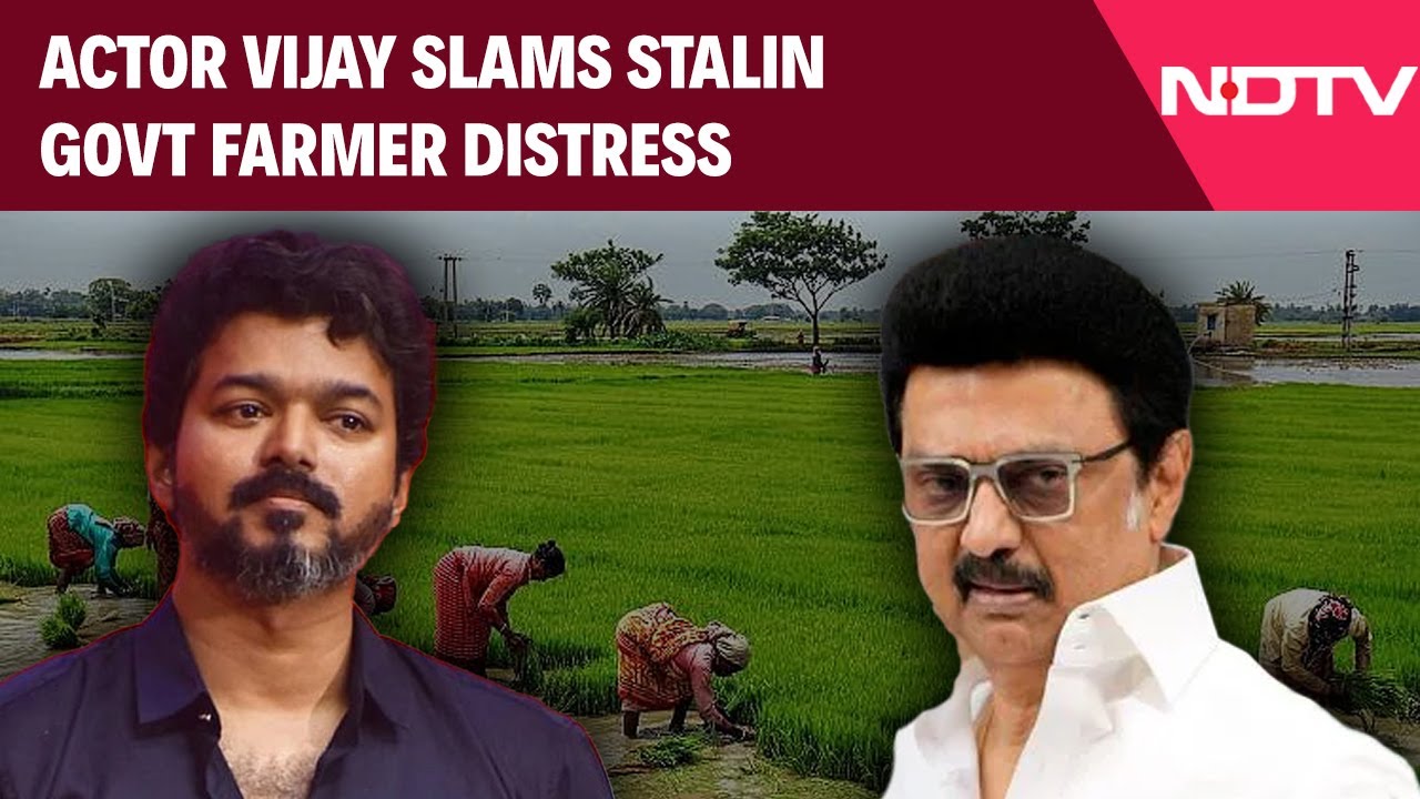 Actor Vijay Slams Stalin Govt Over Farmer Distress, Calls Flood Relief A ‘Photo Op’