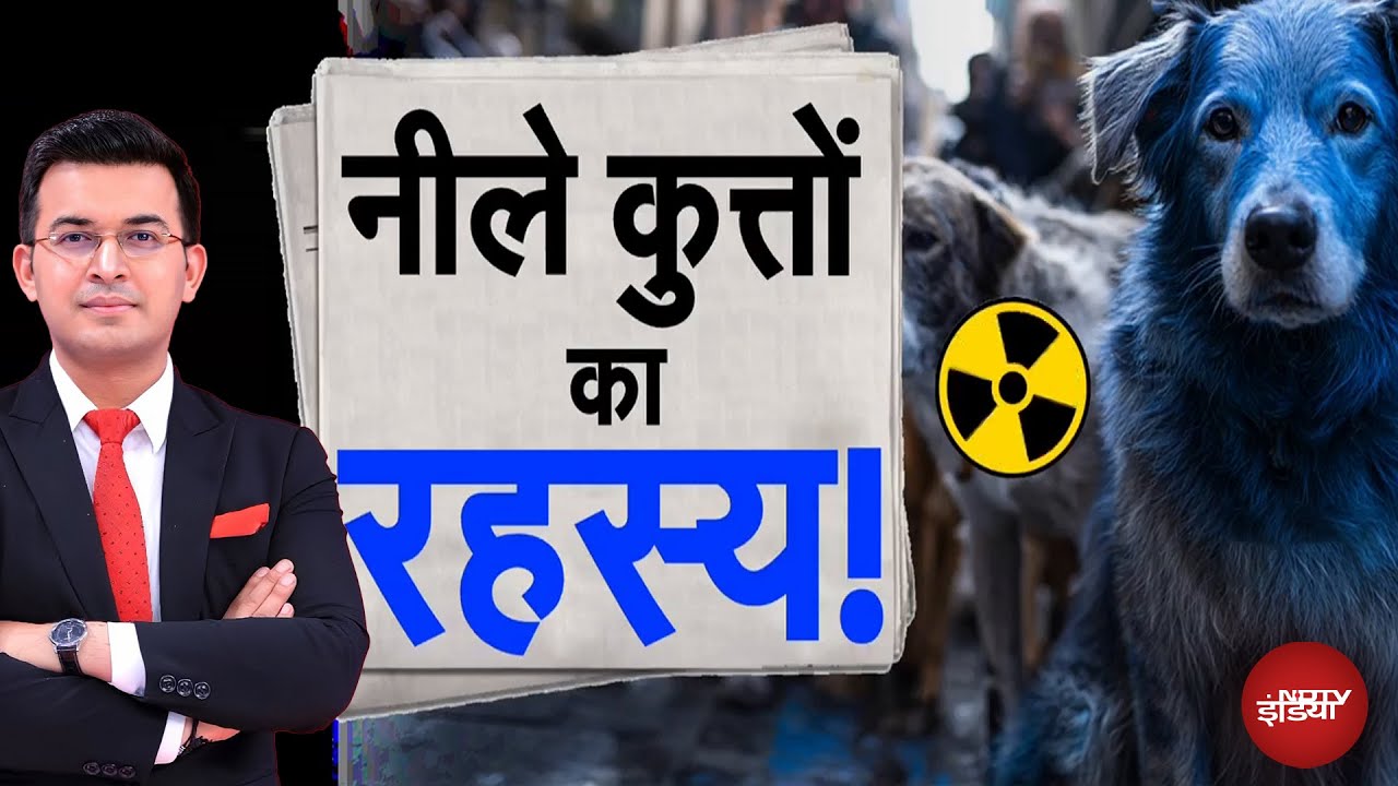 Chernobyl News: 39 साल पहले जहां आई थी परमाणु आपदा, वहां कुत्तों का रंग पड़ा नीला |Shubhankar Mishra Chernobyl News: 39 साल पहले जहां आई थी परमाणु आपदा, वहां कुत्तों का रंग पड़ा नीला |Shubhankar Mishra