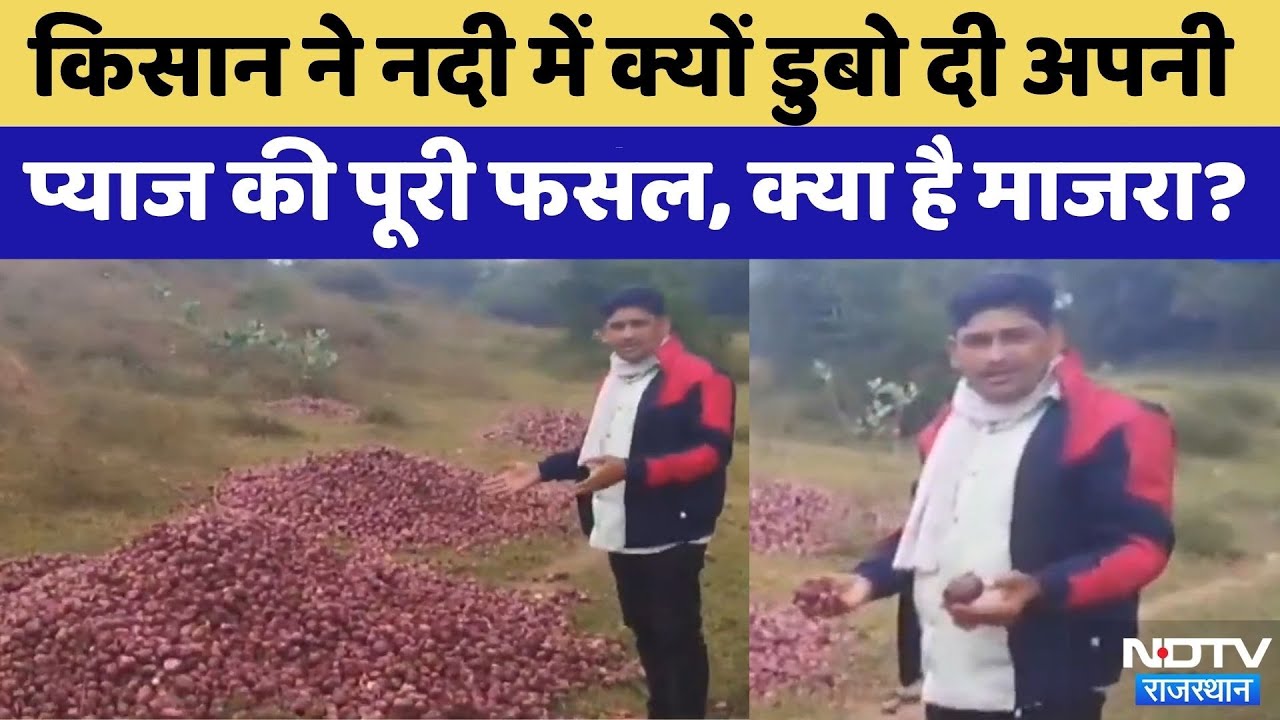 Alwar News: Farmer ने River में डुबो दी Onion की पूरी Crop