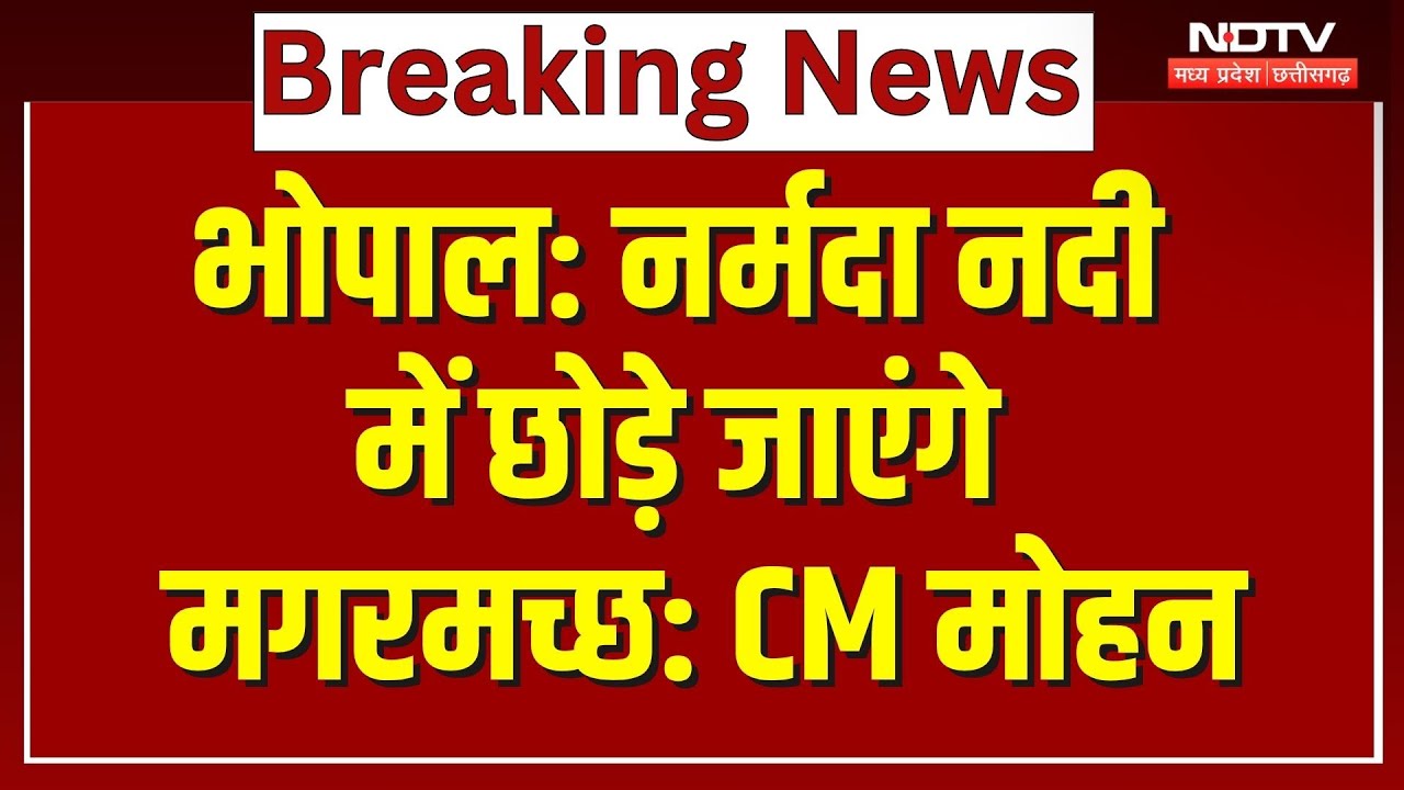 CM Mohan Yadav का बयान, Narmada River में छोड़े जाएंगे मगरमच्छ | MP Top News | Bhopal News CM Mohan Yadav का बयान, Narmada River में छोड़े जाएंगे मगरमच्छ | MP Top News | Bhopal News