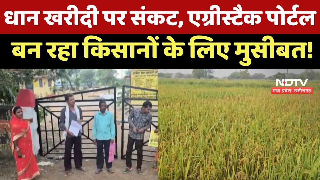 Chhattisgarh News : धान खरीदी पर संकट, AgriStack Portal बन रहा Farmers के लिए मुसीबत!
