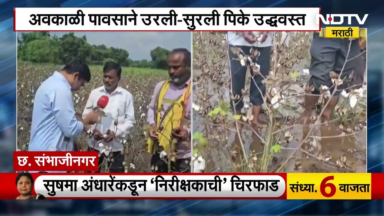 Unseasonal Rain in Marathwada | अवकाळी पावसाने उरली-सुरली पिके उद्धवस्त, शेतकरी हतबल