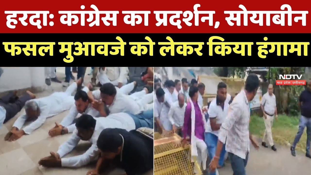Harda News :Congress का प्रदर्शन, Soybean Crop के Compensation को लेकर किया हंगामा Harda News :Congress का प्रदर्शन, Soybean Crop के Compensation को लेकर किया हंगामा