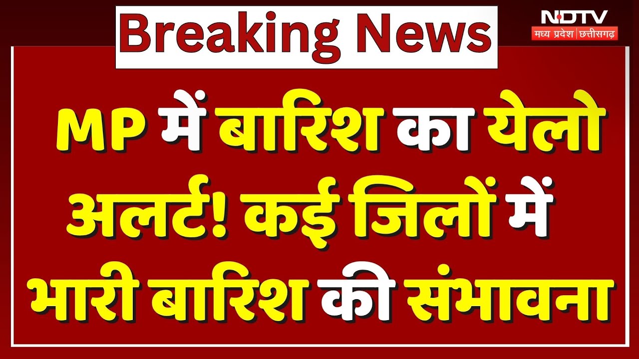 MP में बारिश का Yellow Alert ! Betul, Neemuch, समेत कई जिलों में Heavy Rain की संभावना