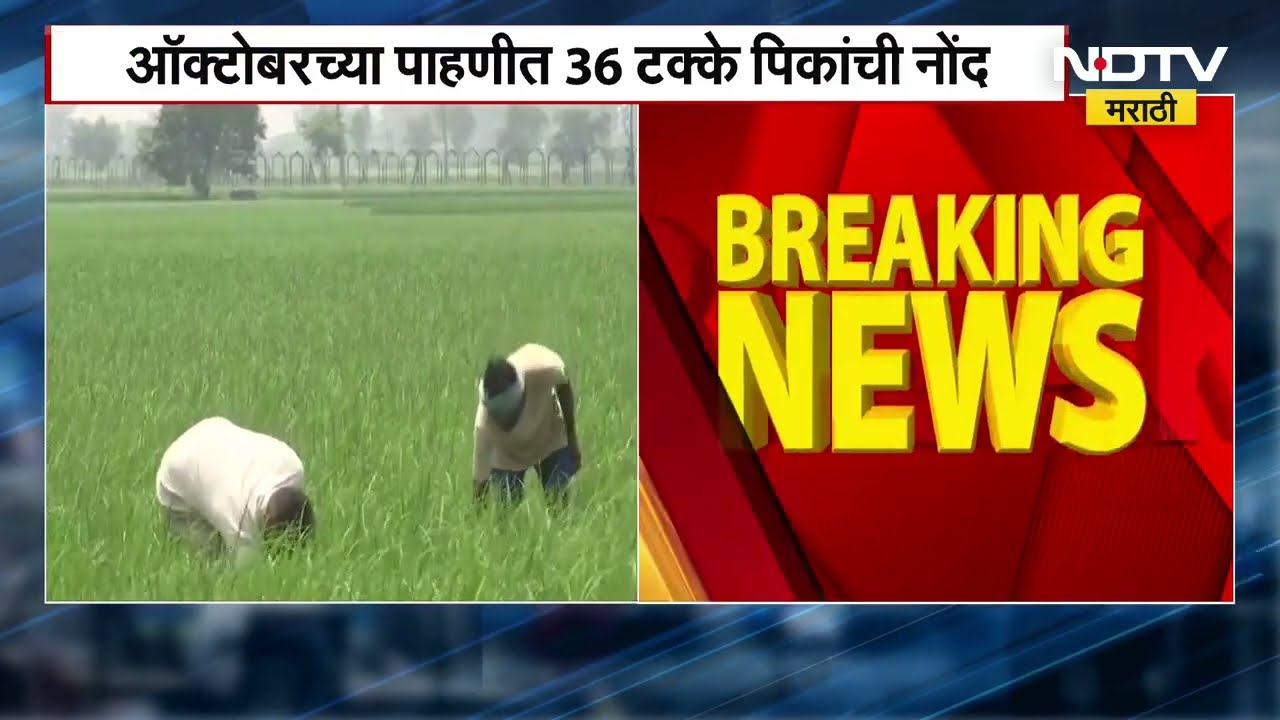 Chandrashekhar Bawankule | ई-पीक पाहणीसाठी 30 नोव्हेंबरपर्यंत मुदतवाढ, महसूलमंत्र्यांचे आदेश