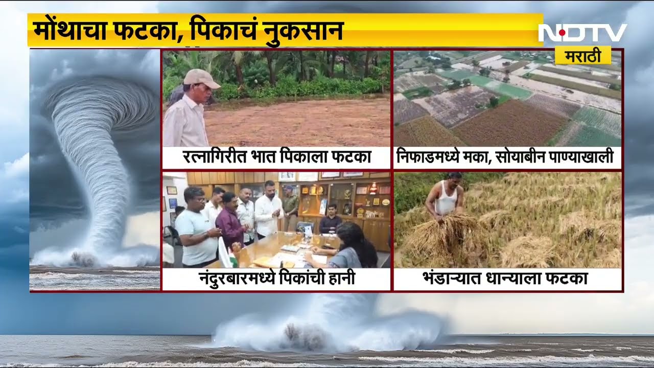 Montha Cyclone Effect in Maharashtra | पाहा मोंथा चक्रीवादळाचा महाराष्ट्रात कसा बसला फटका । NDTV