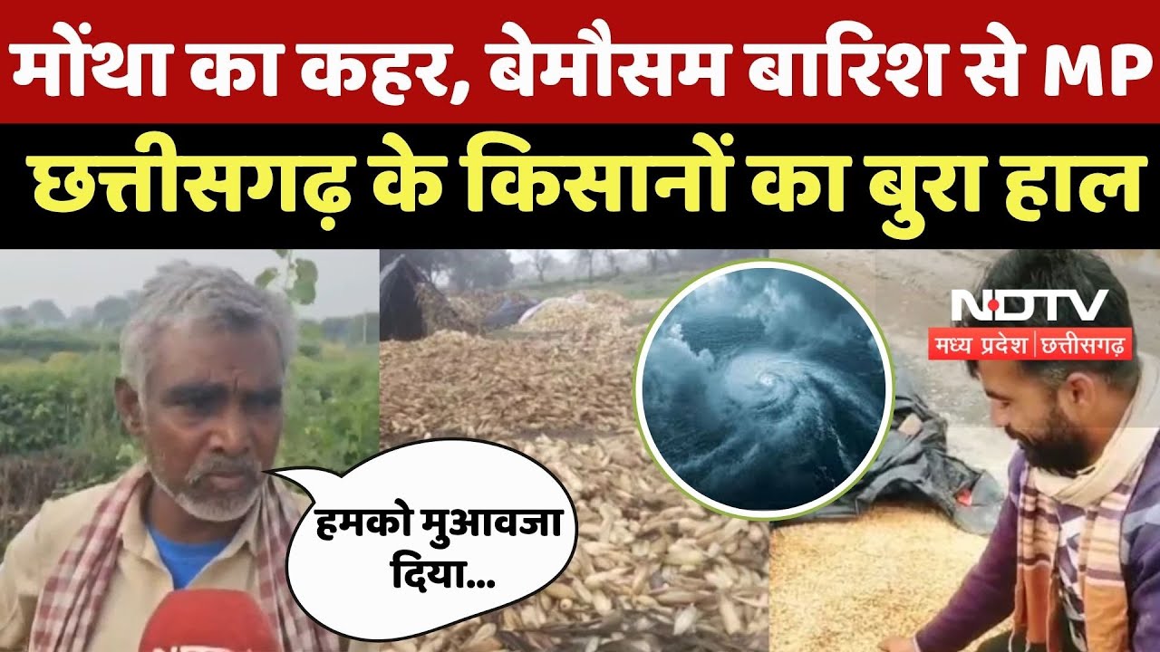 MPCG Rain : चक्रवाती तूफान मोंथा का कहर, MP-Chhattisgarh में बेमौसम बारिश से किसानों का बुरा हाल