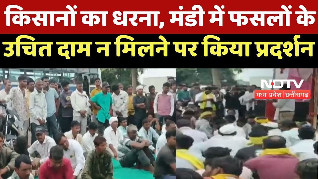Barwani News :  किसानों का धरना, Mandi में फसलों के उचित दाम न मिलने पर किया प्रदर्शन Barwani News :  किसानों का धरना, Mandi में फसलों के उचित दाम न मिलने पर किया प्रदर्शन