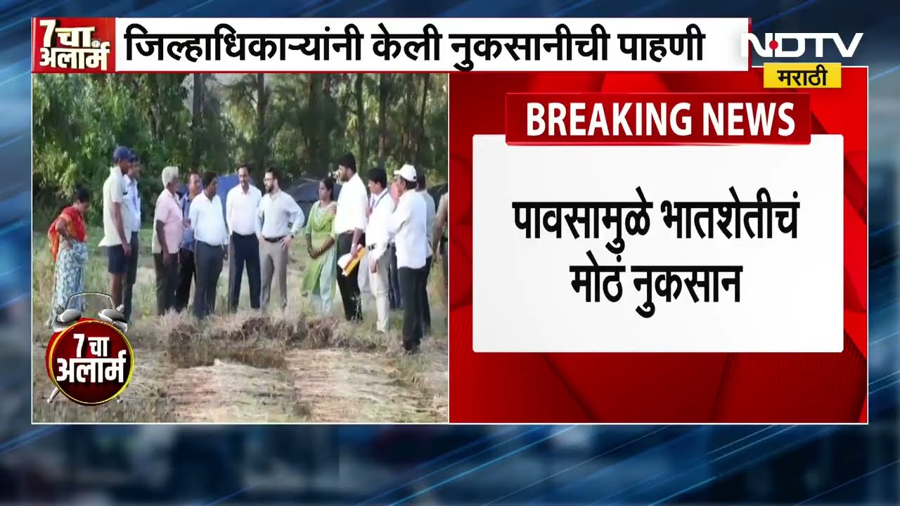 Ratnagiri Crop Loss! भातशेतीच्या नुकसानीची जिल्हाधिकाऱ्यांनी बांधावर जाऊन केली पाहणी । NDTV Marathi
