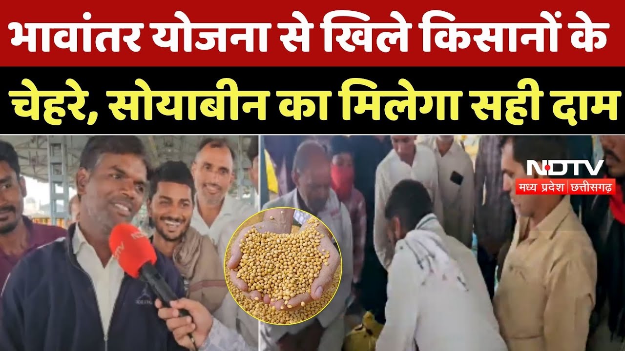 Bhavantar Yojana: भावांतर योजना से खिले किसानों के चेहरे, Soybean का मिलेगा सही दाम | Kisan | MP