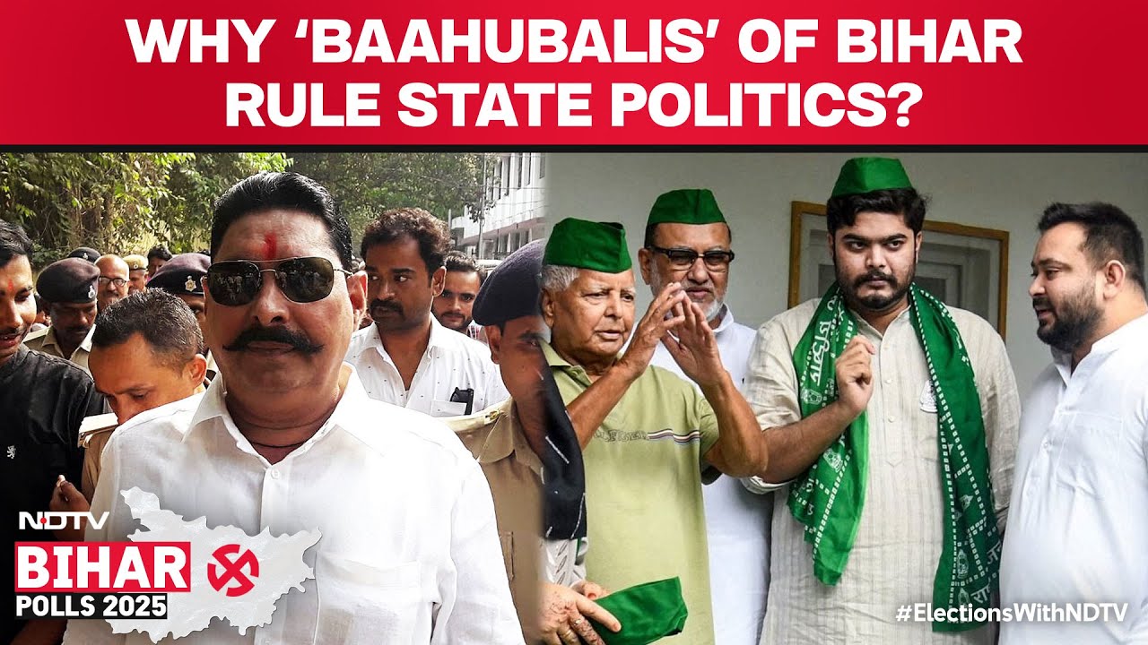 Bihar Elections 2025 | 1 In 3 Bihar Poll Candidates Face Criminal Charges, ADR Report Reveals