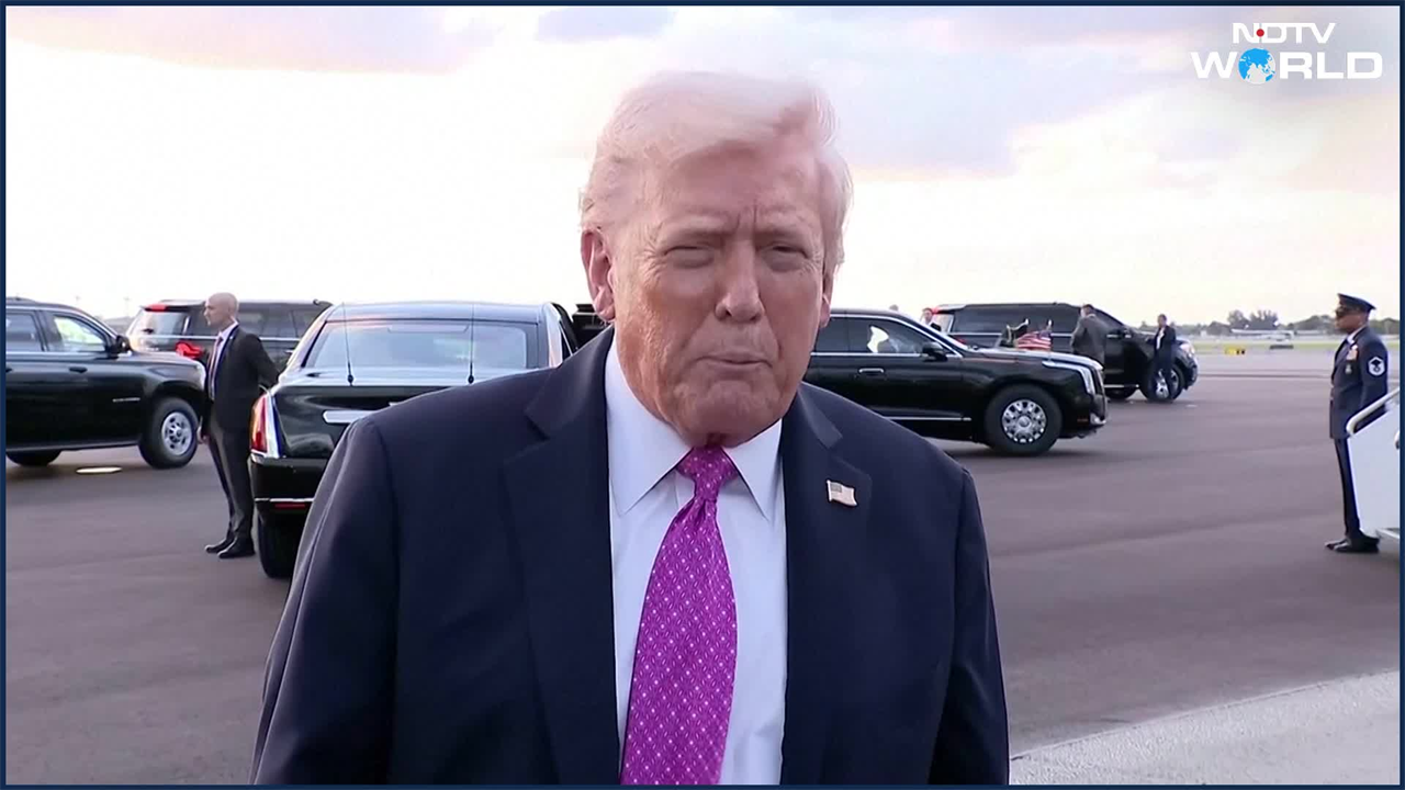 Ukraine War | Trump Calls On Ukraine, Russia To "Stop The War Immediately", Zelenskyy Responds