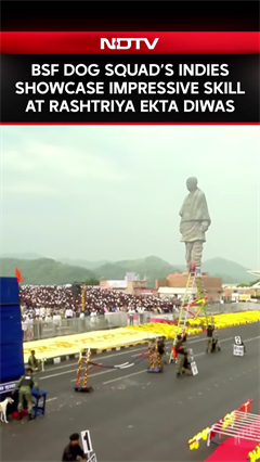 Video: BSF Dog Squad's Indies Showcase Impressive Skill And Agility At Rashtriya Ekta Diwas Parade