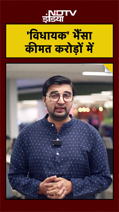 Video: एक ऐसा भैंसा जो खाता है बादाम-काजू-घी और पीता है दूध...नाम है विधायक , कीमत करोड़ों में | UP News | Top News