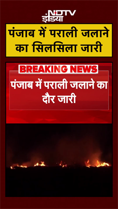 Video: Stubble Burning In Punjab: पंजाब के किसान अब भी जला रहे पराली, बढ़ रहा Pollution | #Shorts