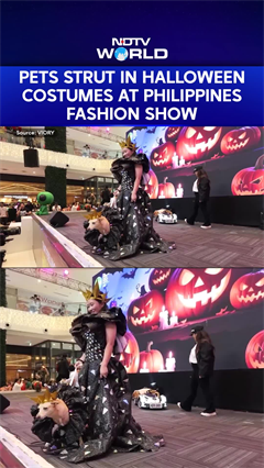 Video: Pets Strut In Halloween Costumes At Philippines Fashion Show