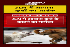 Delhi News: JNL में आवारा कुत्तों का आतंक, विदेशी कोच को काटने पर बवाल | NDTV India | #shorts Delhi News: JNL में आवारा कुत्तों का आतंक, विदेशी कोच को काटने पर बवाल | NDTV India | #shorts