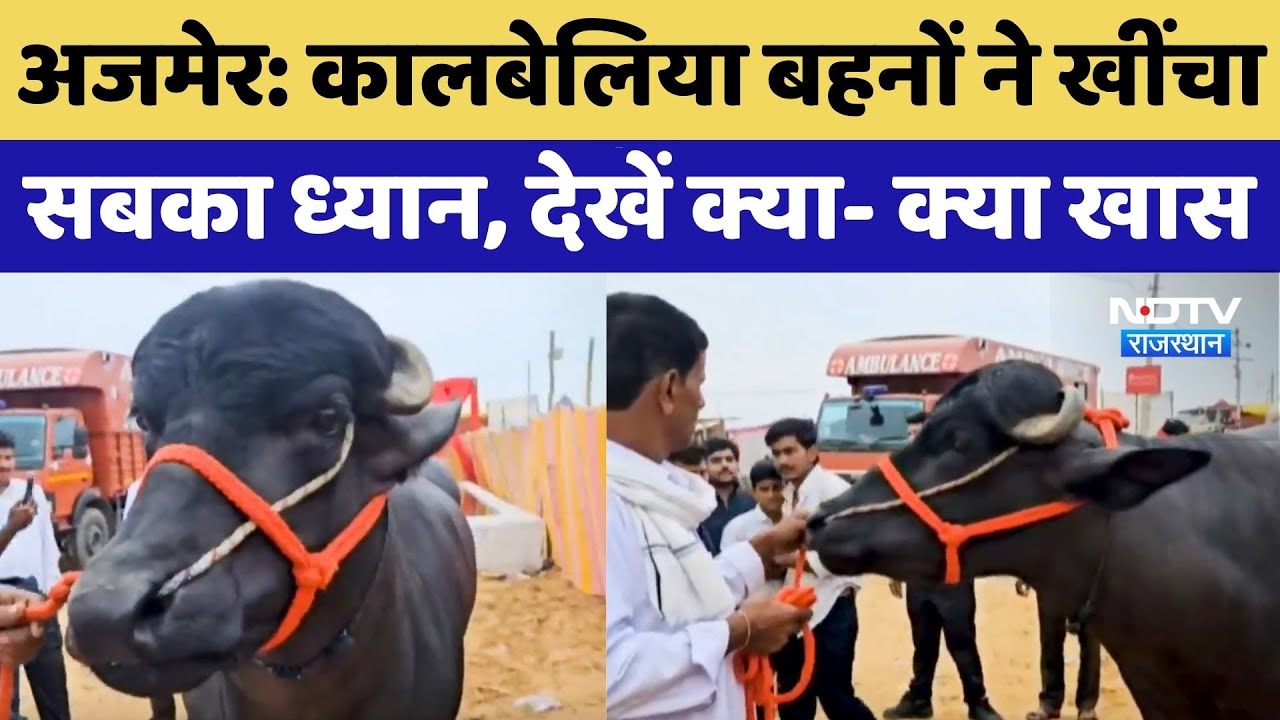 कालबेलिया बहनों ने खींचा सबका ध्यान, देखें क्या- क्या खास