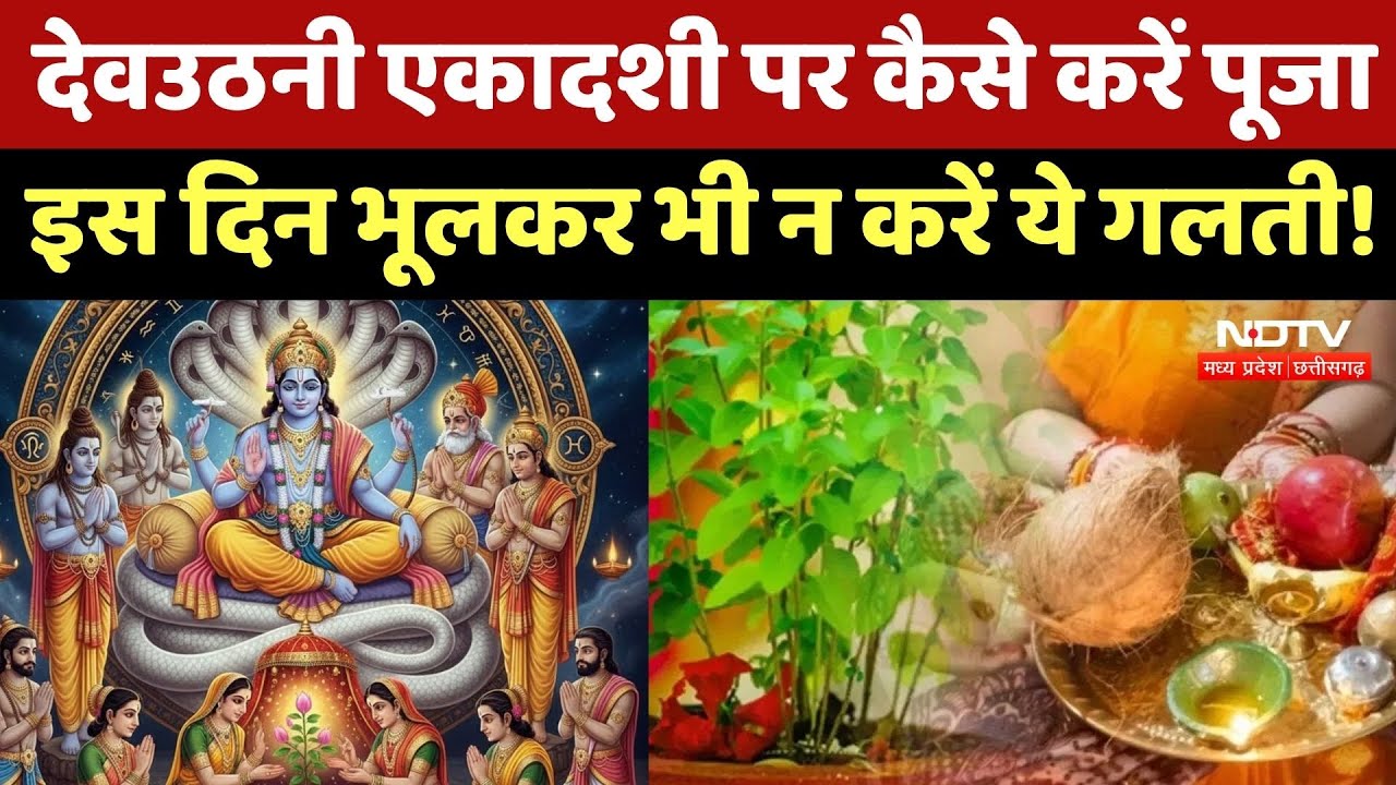 Dev Uthani Ekadashi 2025: देवउठनी एकादशी पर तुलसी विवाह का क्या है महत्व, जानें पूजा विधि | MPCG