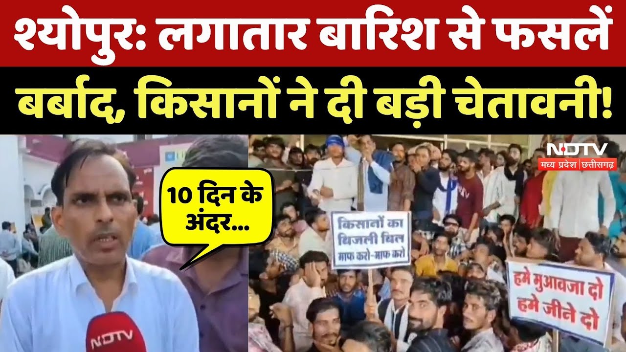 Sheopur News: बेमौसम बारिश से फसलें बर्बाद, किसानों ने दी आंदोलन की चेतावनी! Farmers | Rain Alert