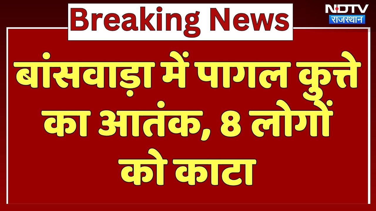 Dog Bite Case: Banswara में पागल कुत्ते का आतंक, 8 लोगों को काटा | Breaking | Rajasthan | Latest