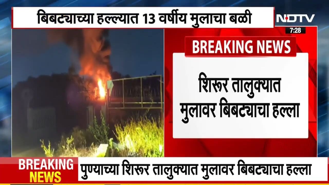 Shirur Leopard Attack ।  ...त्या बिबट्याला दिसेल तिथे गोळी घालण्याचे आदेश, शिरूरमध्ये काय घडलं? पाहा