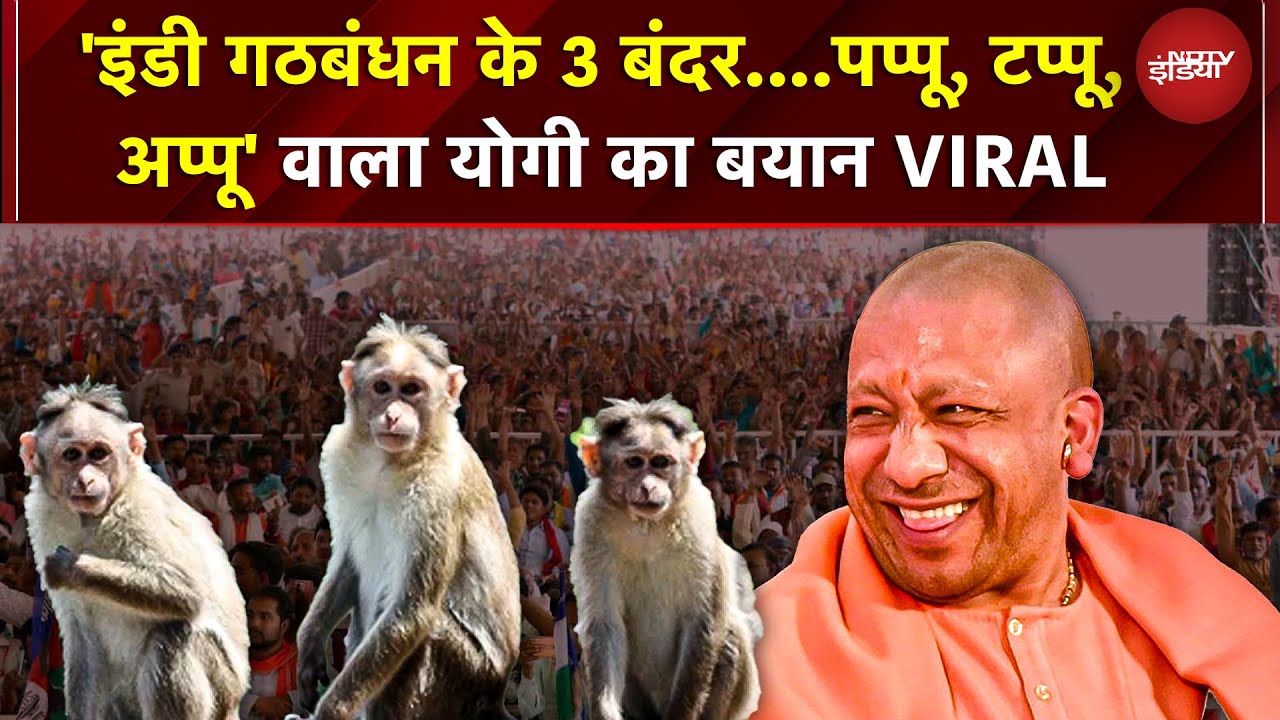 Yogi Bihar Rally: 'पप्पू, अप्पू और टप्पू' कहकर Yogi Adityanath ने किसपर साधा निशाना? | Bihar Polls