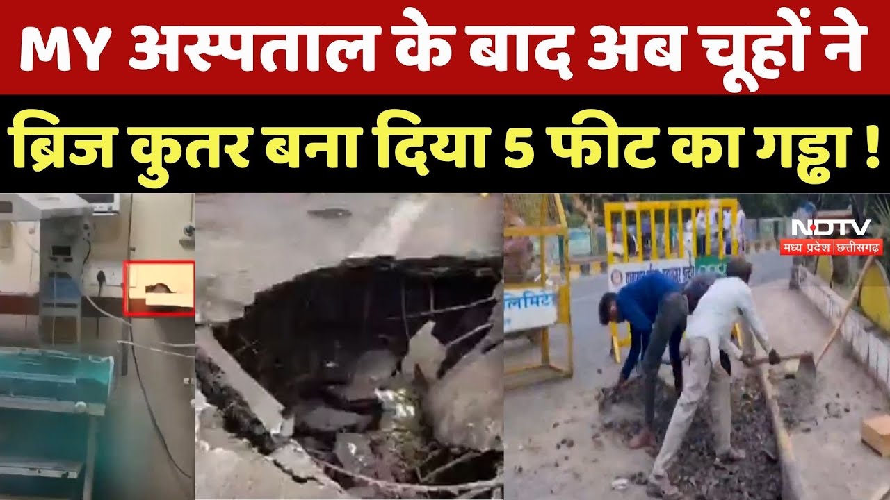 Indore Shastri Bridge में चूहों ने कुतर डाला Bridge, बना दिया 5 Feet का गड्ढा !