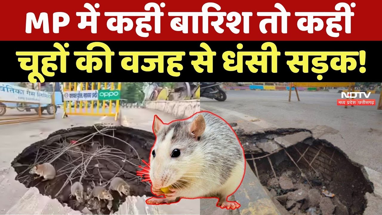 MP में कहीं Rain तो कहीं Rats की वजह से धंसी Road!