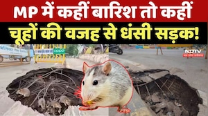 MP में कहीं Rain तो कहीं Rats की वजह से धंसी Road!