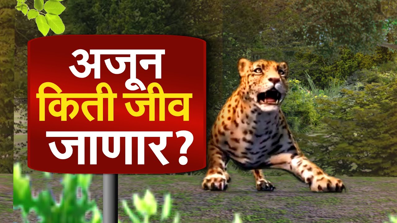 Pune | बिबट्याची दहशत, ग्रामस्थ आक्रमक; वनमंत्री गप्प का? सरकार बिबट्यांचा बंदोबस्त कधी,कसा करणार?