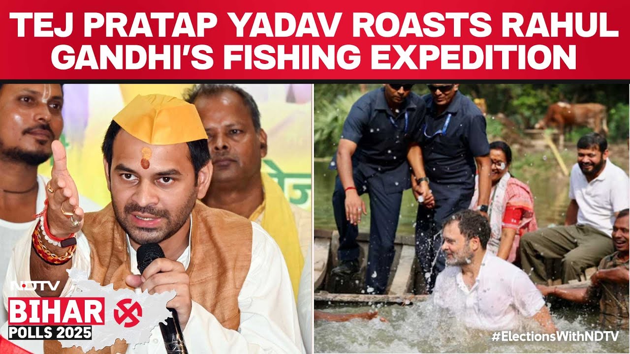 'Become A Cook': Tej Pratap Yadav, BJP Roast Rahul Gandhi's Fishing Act