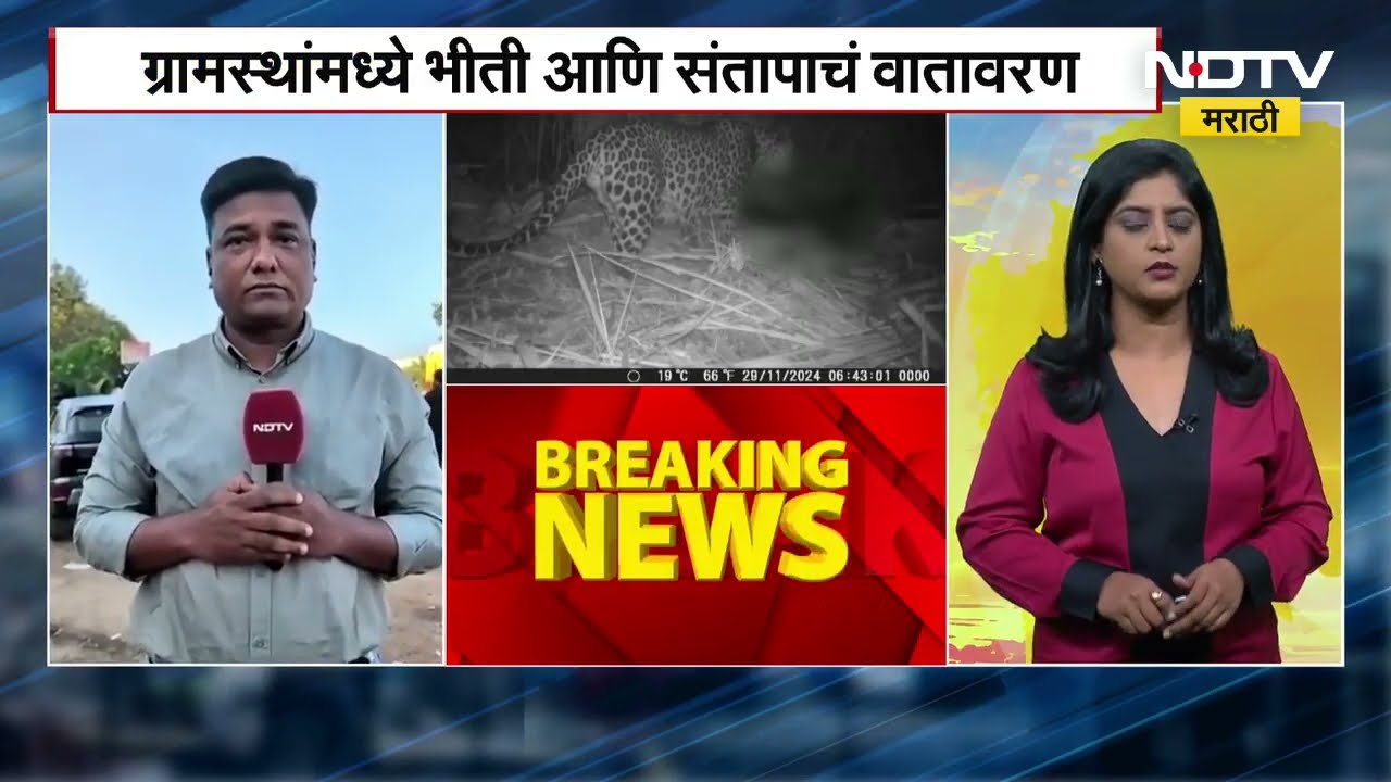 Pune Shirur Bibtya | बिबट्यांची वाढती दहशत, पिंपरखेडमधील नागरिक आक्रमक, आजही  आंदोलनाची शक्यता