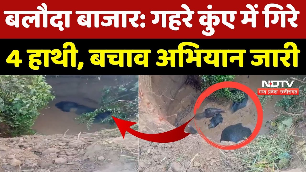 गहरे कुंए में गिरे 4 हाथी, बचाव अभियान जारी