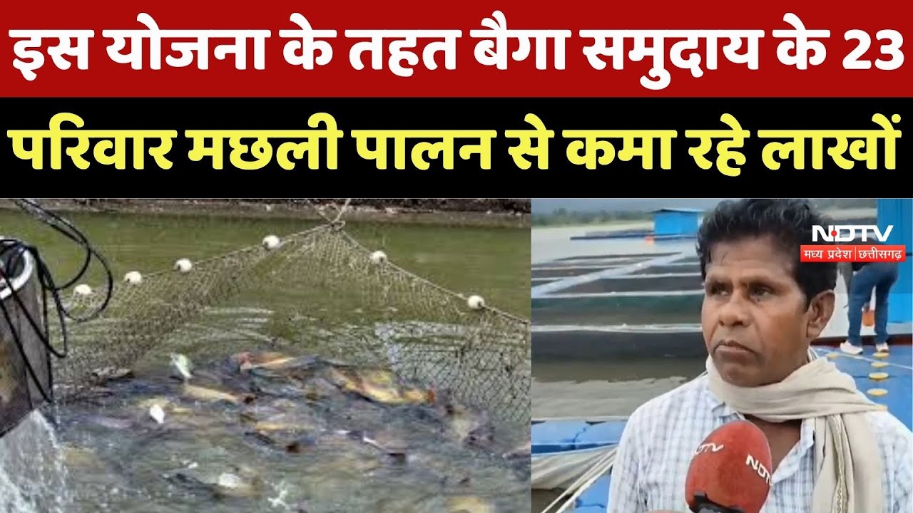 Chhattisgarh में Fish Farming से लाखों कमा रहे Tribal, PM Matsya Sampada Yojana का कमाल