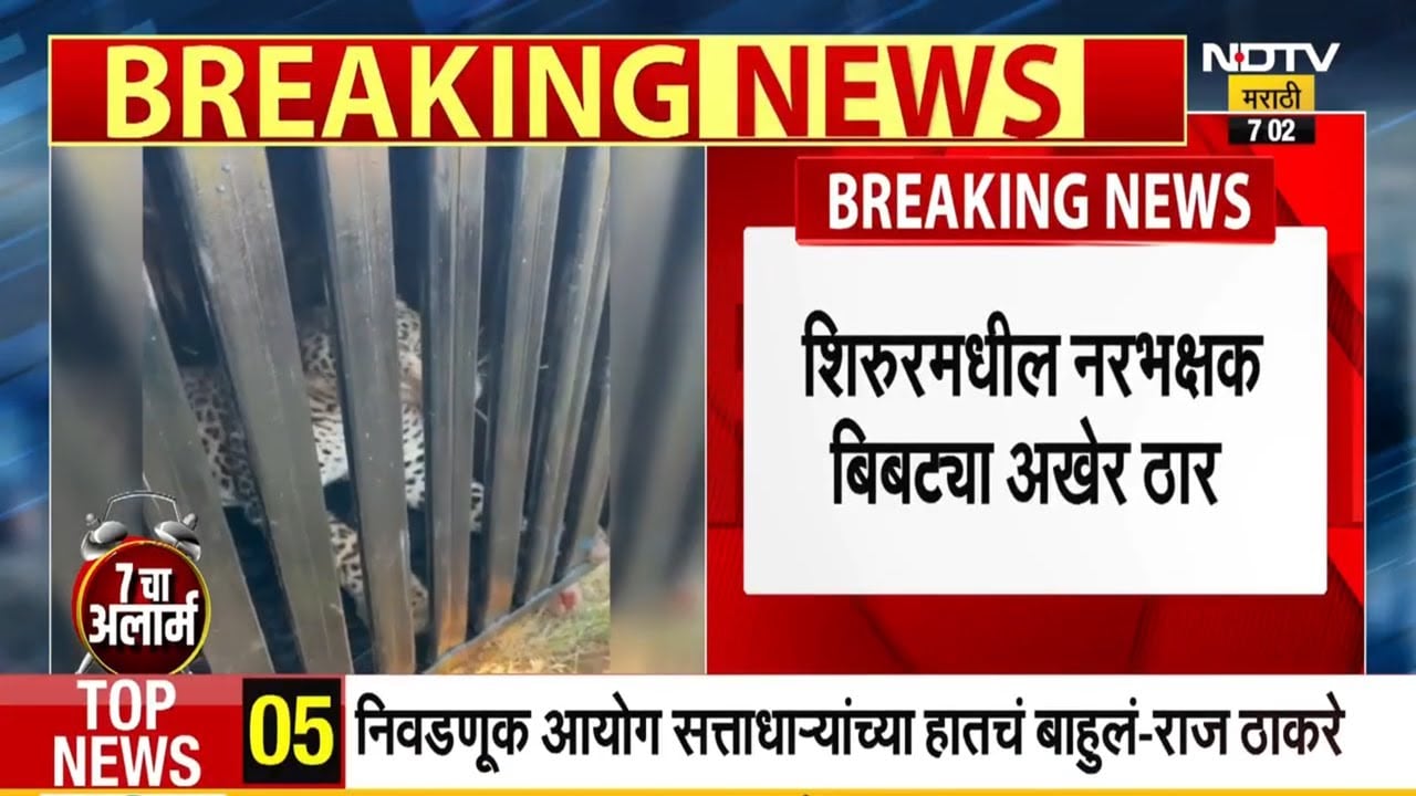 Shirur Leopard Dead | मोठी बातमी : शिरूरमधील नरभक्षक बिबट्या ठार ।  Man-eating leopard killed