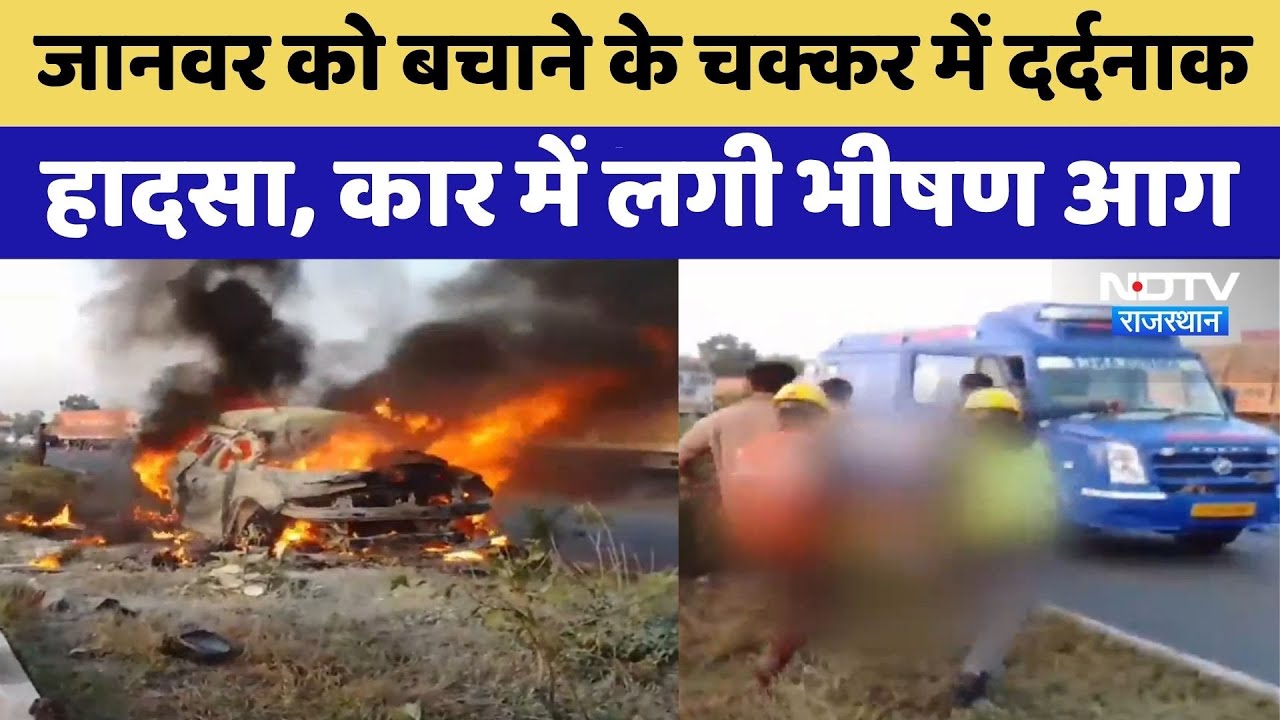 Pali Road Accident: जानवर को बचाने के चक्कर में दर्दनाक हादसा