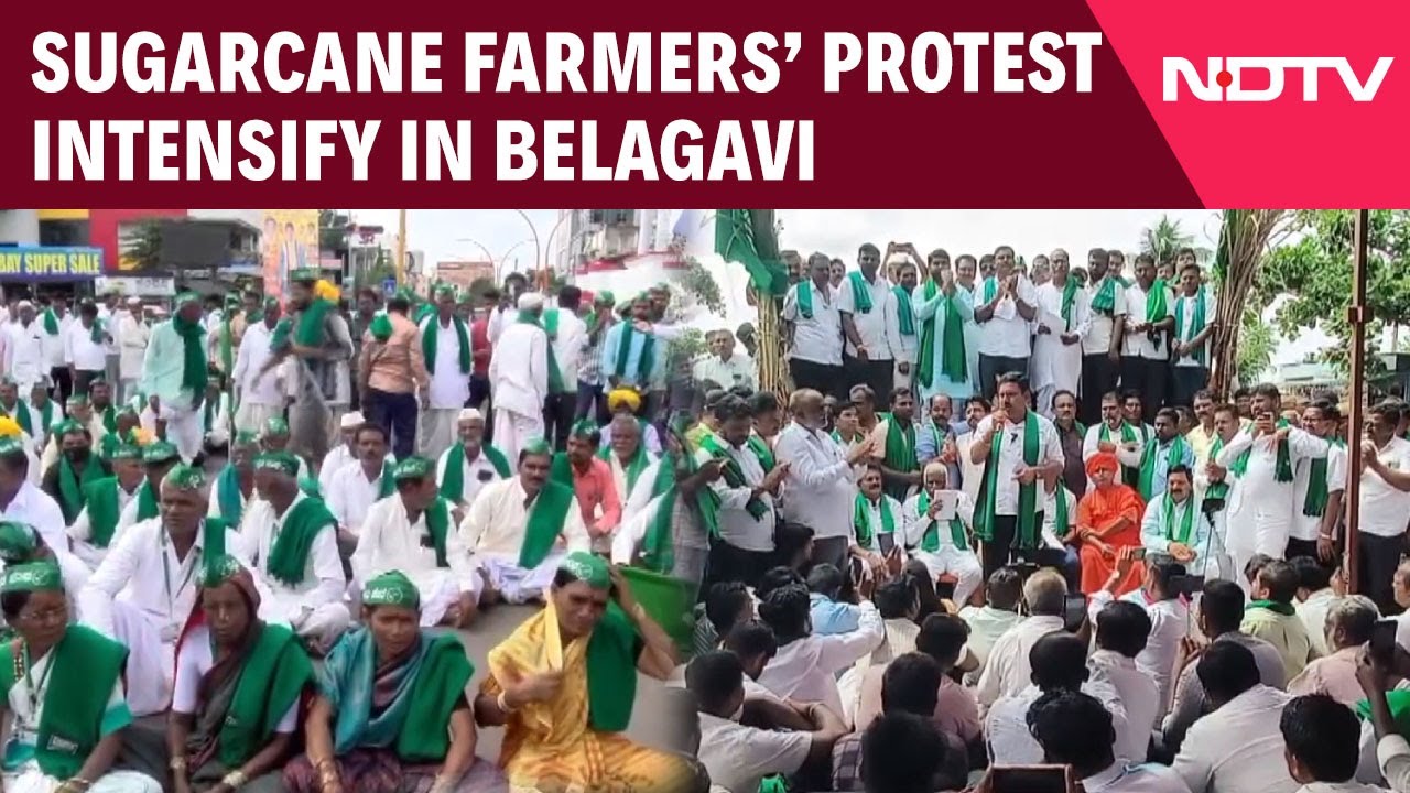 Karnataka News | Sugarcane Farmers Intensify Protest In Belagavi, Demand Higher Price For Crop