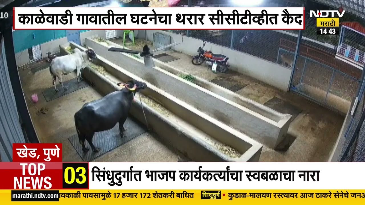 Pune Bibtya | काळेवाडी गावातील मुलावर बिबट्याचा हल्ल्याचा प्रयत्न,थरार CCTV मध्ये कैद