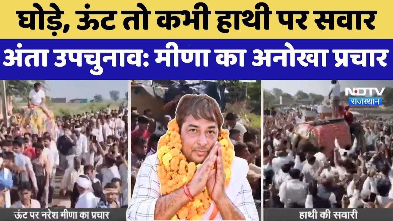 Anta By Election: Naresh Meena का अनोखा प्रचार, Horse, Camel तो कभी Elephant पर सवार | Top News