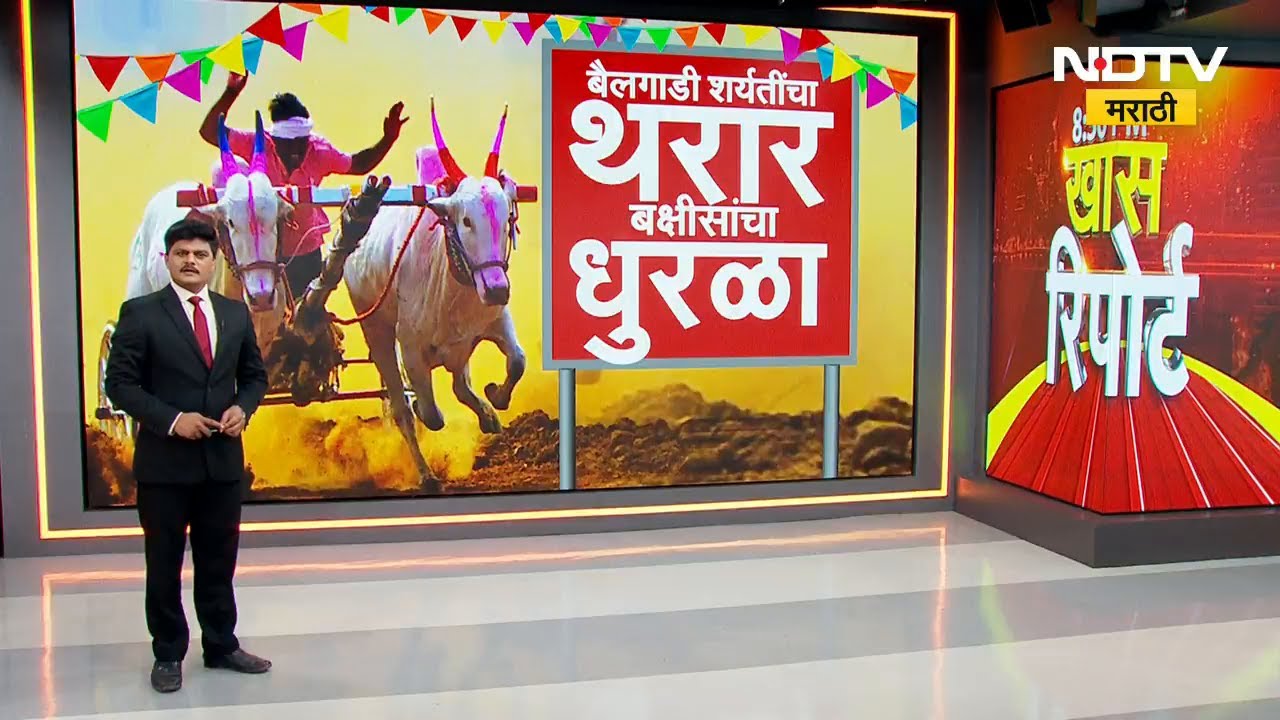 Bullock Cart Racing | Sangli | इतिहासातील सर्वात मोठी बक्षिसे सांगलीत! २ फॉर्च्युनर, २ थार आणि... |