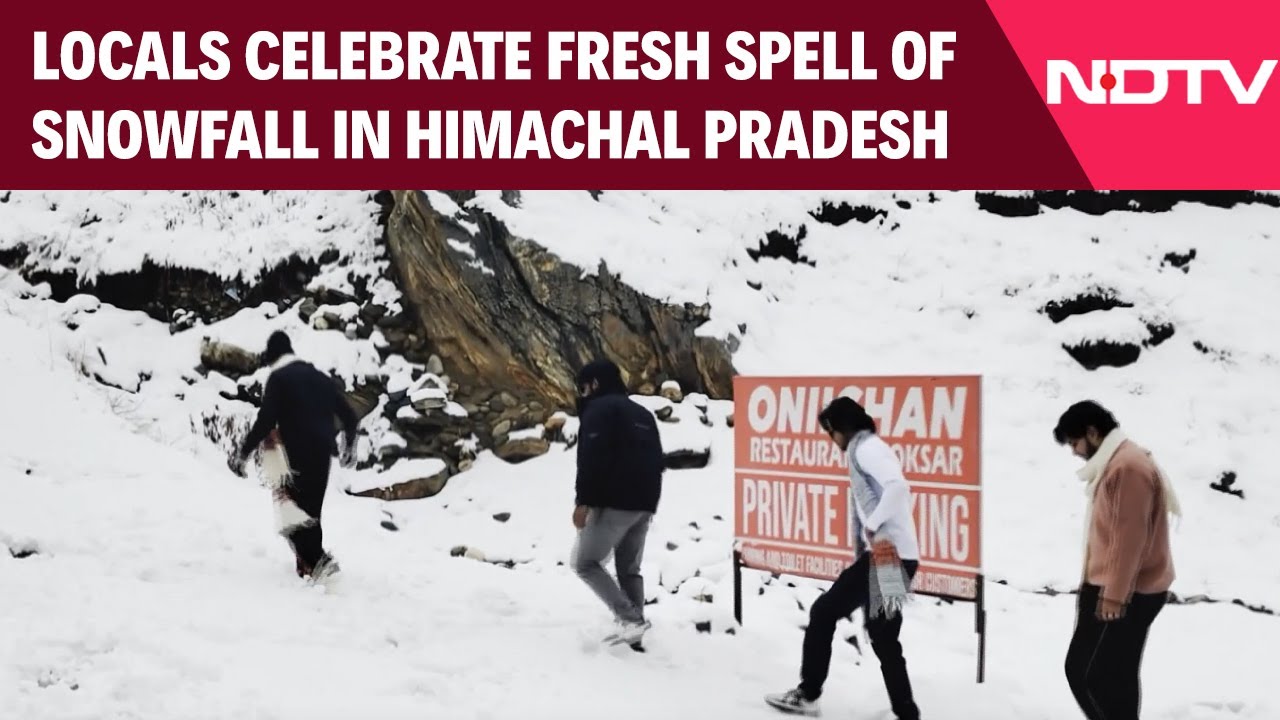 Fresh Snowfall In Himachal's High-Altitude Areas Brings Cheer To Locals And Tourists